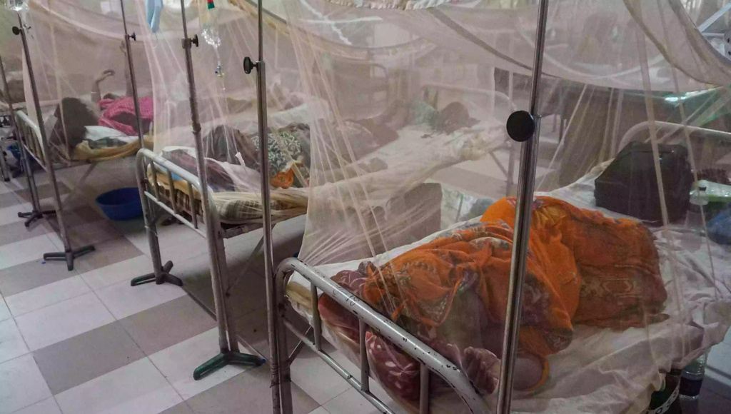 ২৪ ঘণ্টায় ডেঙ্গুতে ৪ জনের মৃত্যু, হাসপাতালে ভর্তি ২৪৭